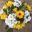 best online Flower Dorchester